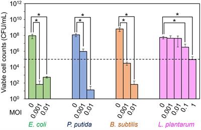 Precise microbiome engineering using natural and synthetic bacteriophages targeting an artificial bacterial consortium